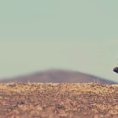 1920 x 1080 HD Wallpapers 2193